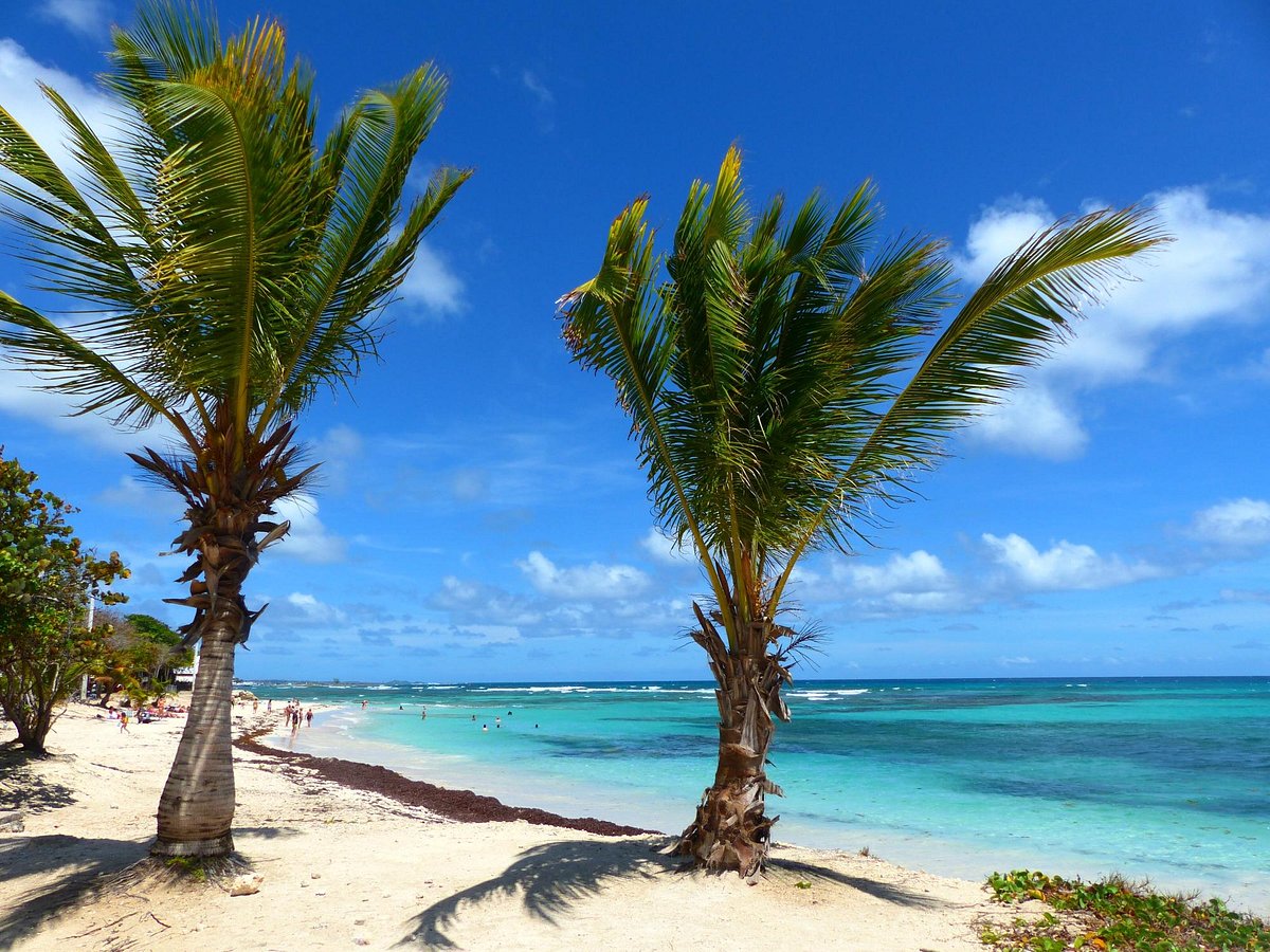 Plage des Raisins Clairs